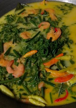 Foto resep Gulai Pakis Udang