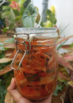 Foto resep Kimchi homemade