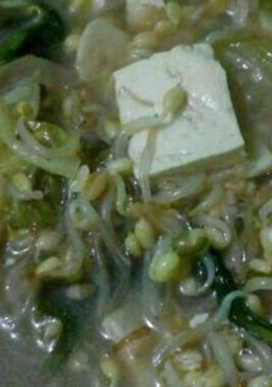 Foto resep Mix Kuah (Kecambah Tahu Sawi)🍲