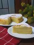 Magic Custard Cake
