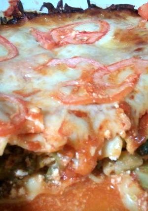 A picture of vegetarian lasagna.