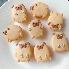 A picture of The Pugaron.