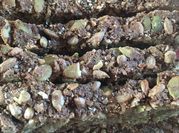 A picture of sunflower seed bread
