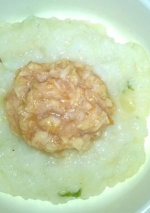 Foto resep Day. 65 Bubur Pepes Nila (8 month+)