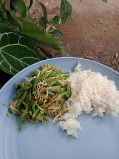 Foto resep Tumis kacang panjang tauge