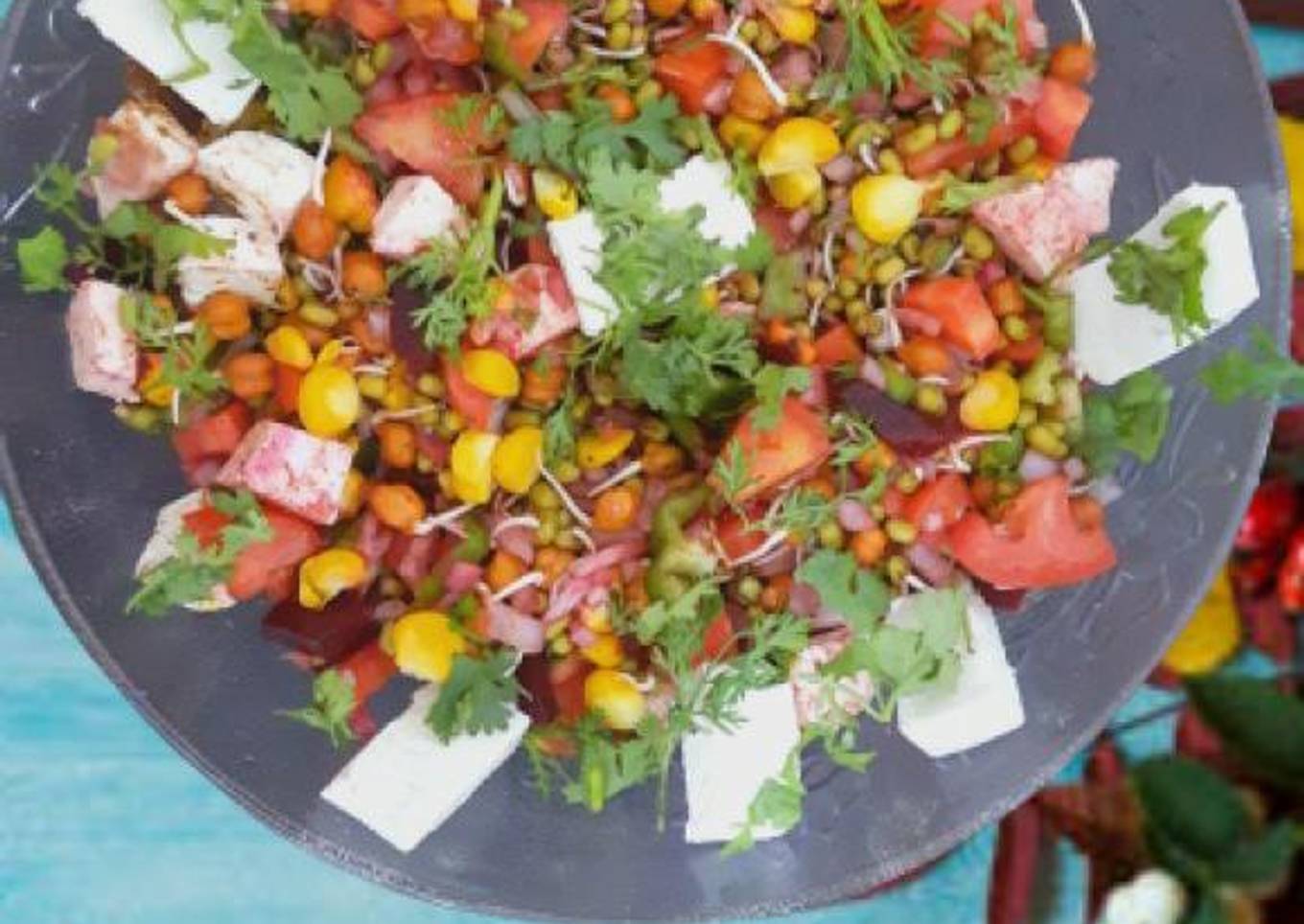 Healthy Paneer salad with sprouts