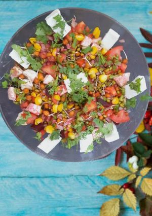 A picture of Healthy Paneer salad with sprouts.