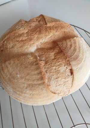 Foto di Pagnotta senza glutine