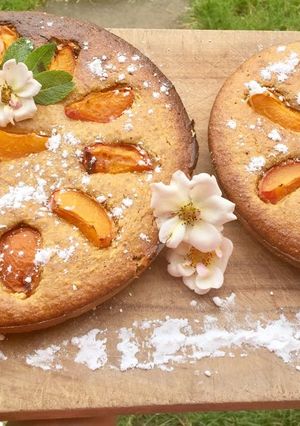 Une photo de Moelleux à l'abricot et à la pistache (sans gluten / sans lactose)