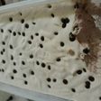 Ice cream coklat