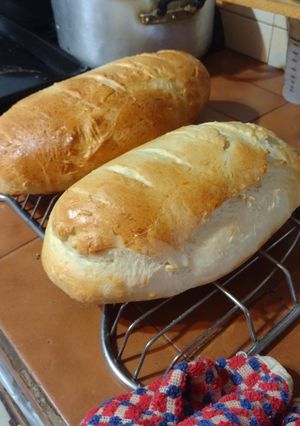 Una foto de Pan Lactal Sin Molde