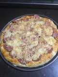 Adonan Pizza ala peter reinhart