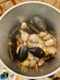 Pulmay