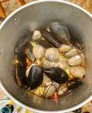 Pulmay