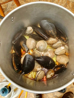 Una foto de Pulmay
