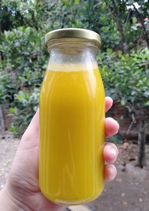Hình của món Sữa bí đỏ hạt sen.