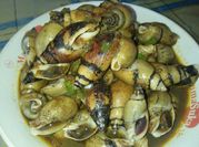 Gambar sayur siput