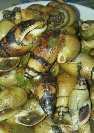 Foto resep Siput Masak Tumis Kecap