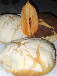 Una foto de Conchas