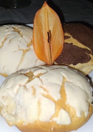Una foto de Conchas