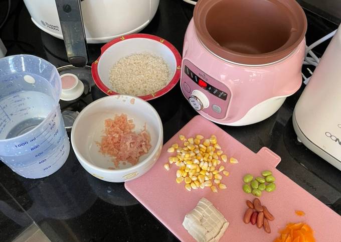 Mpasi 6 Bulan Ayam (Slow Cooker Emily)