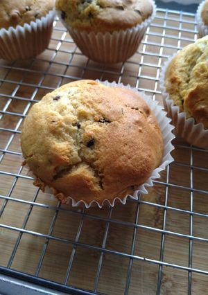 Une photo de Muffin