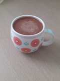 Avena chocolatada