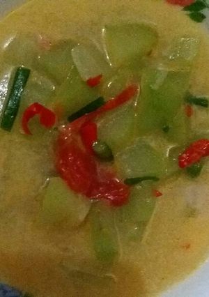 Foto resep Sayur labu siam