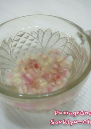 Foto resep Seoklyu-cha (석류차) / Korean Pomegranate Tea