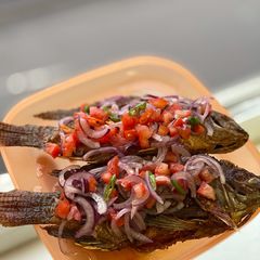 Tilapia Dabu-dabu A picture of Tilapia Dabu-dabu.