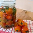 Fermented Tomatoes & Basil