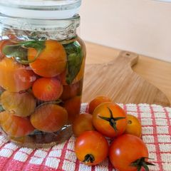 A picture of Fermented Tomatoes & Basil.