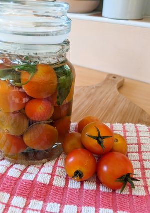 A picture of Fermented Tomatoes & Basil.