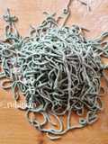 Spaghetti spirulina e albumi