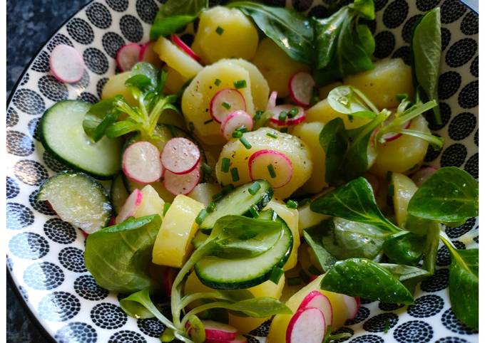 Méthode la plus simple pour Fabriquer Fait Maison Salade de Pomme De Terre Et radis