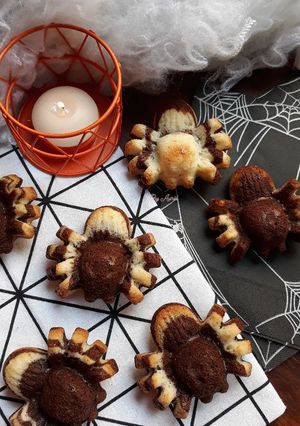 Une photo de ☆Araignées Marbrées☆