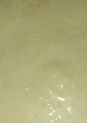 A picture of Kheer.