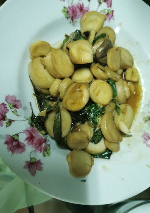 濠油杏包菇 的食譜成品照片
