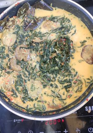 Foto resep Gulai jengkol dan pucuk ubi