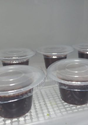 Foto resep Puding Coklat
