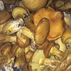 A picture of Hongos 🍄 en escabeche.