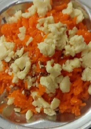 A picture of Zarda.