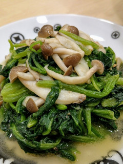 鴻禧菇炒菠菜 的食譜成品照片