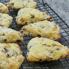 Yogurt Chocolate Chip Scones A picture of Yogurt Chocolate Chip Scones.