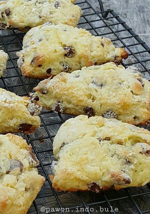 A picture of Yogurt Chocolate Chip Scones.