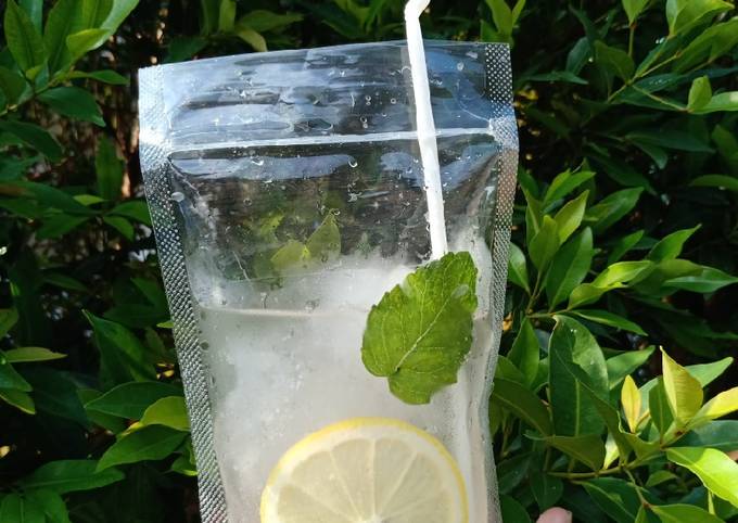 Mojito pouches best sale