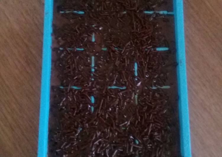 Puding Nutrijel Coklat