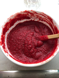 A picture of Baby’s Ketchup (AIP, nightshade free).
