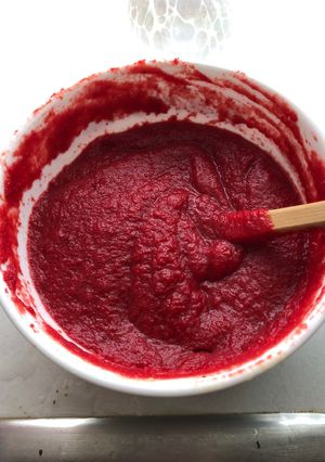 A picture of Baby’s Ketchup (AIP, nightshade free).