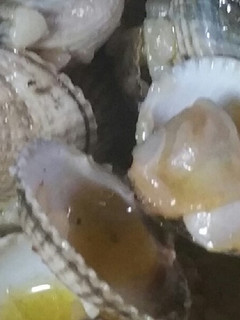 Una foto de Berberechos en su jugo